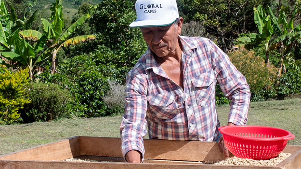 Global-Cafes-Quienes-Somos-Objetivos-2022.jpg