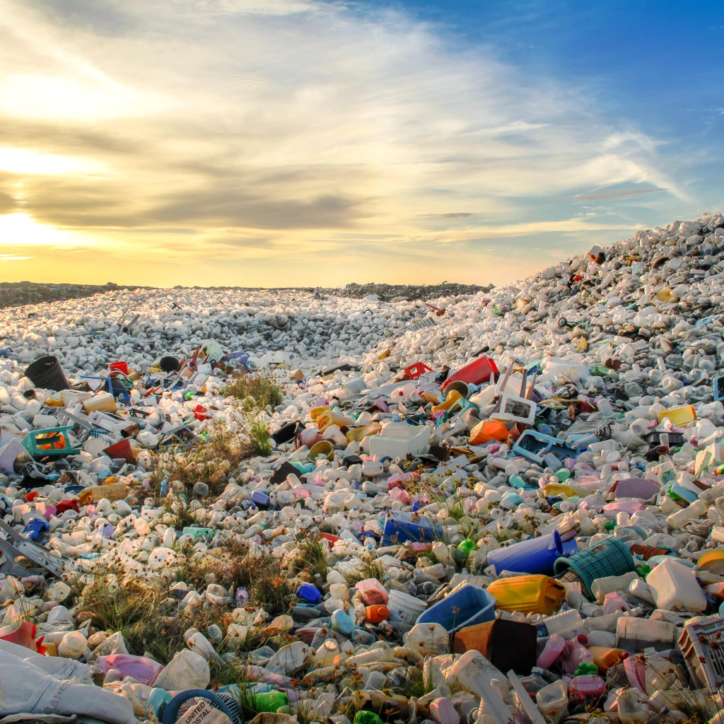 26_Landfill-min.jpg