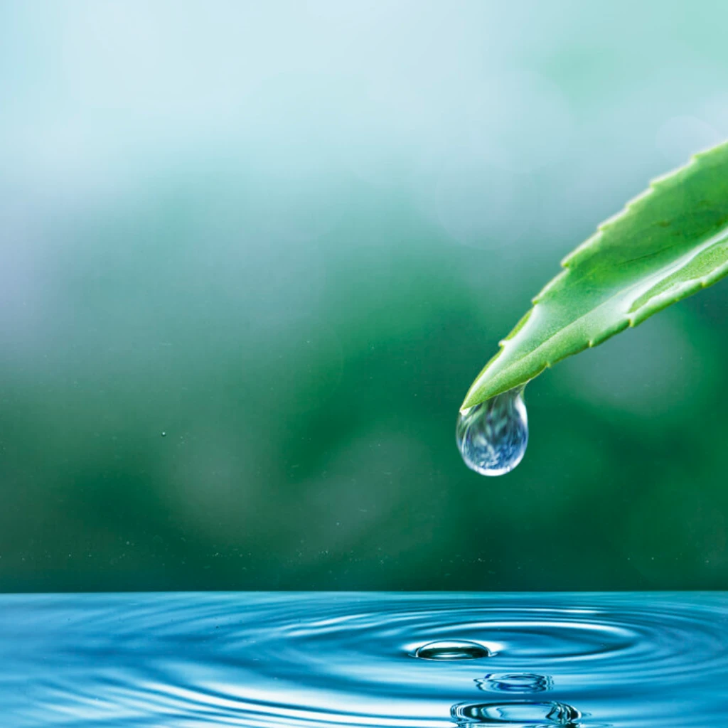 Water.PNG