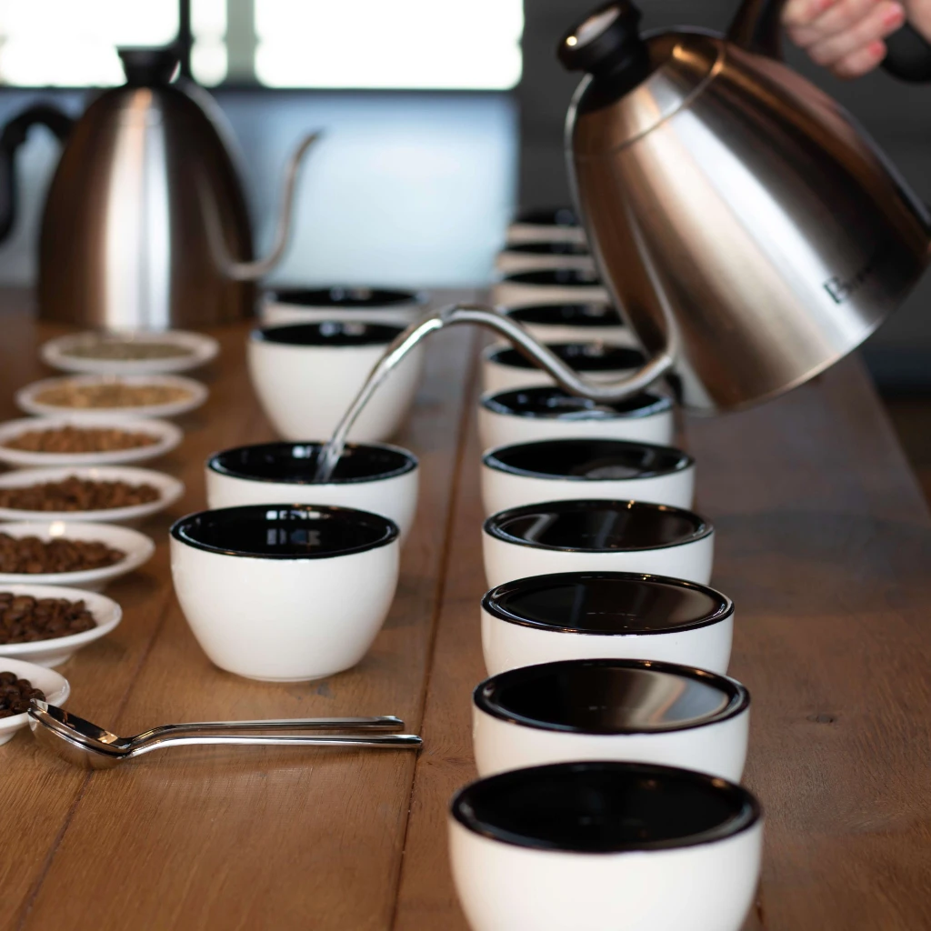 Cupping 6027.jpg