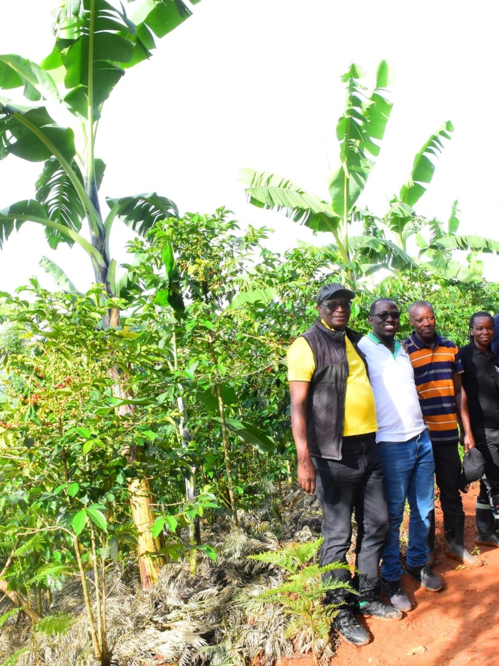 Rwanda Awards in the farm web.JPG