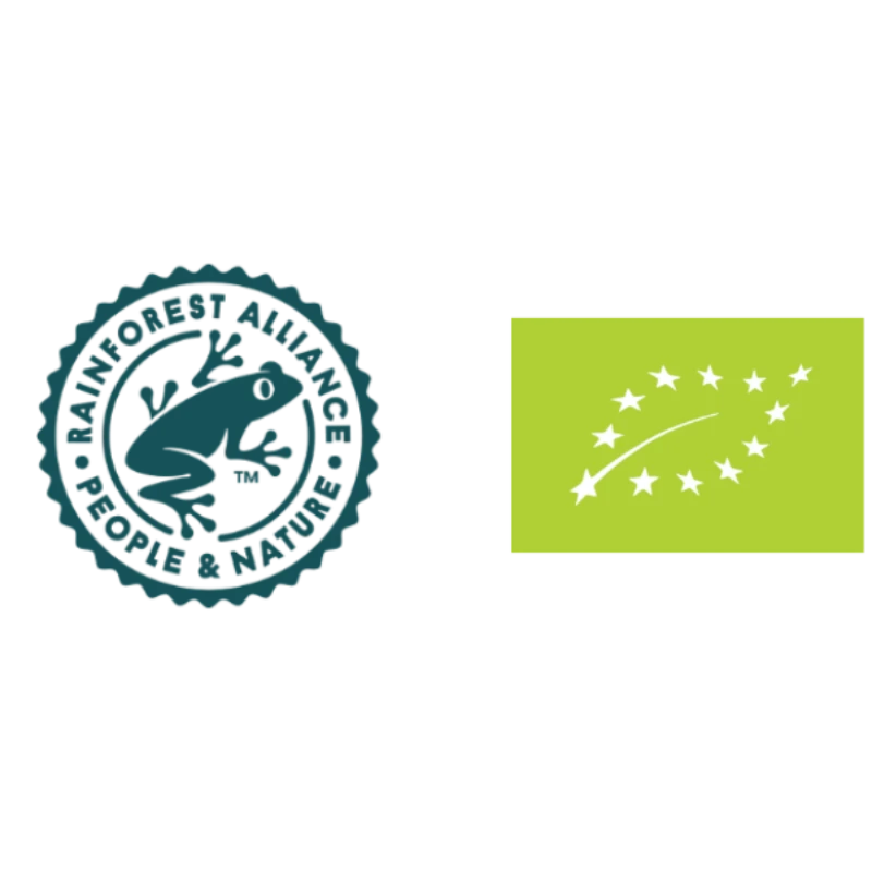logo-2.png